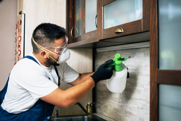 Best Mosquito Control Services  in Newark, DE