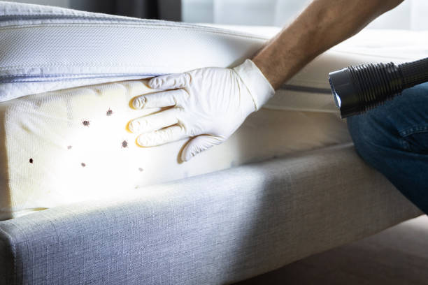 Best Wildlife Control Services  in Newark, DE