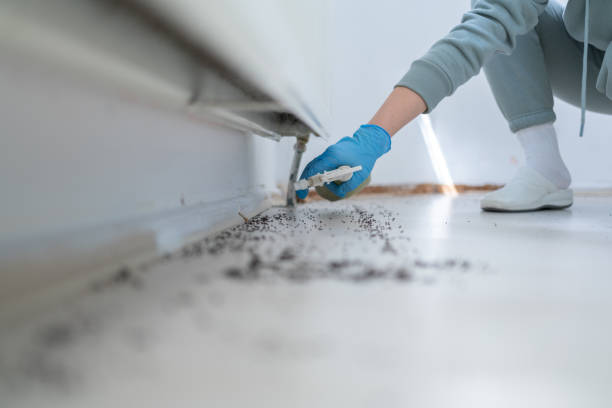 Pest Control for Restaurants in Newark, DE